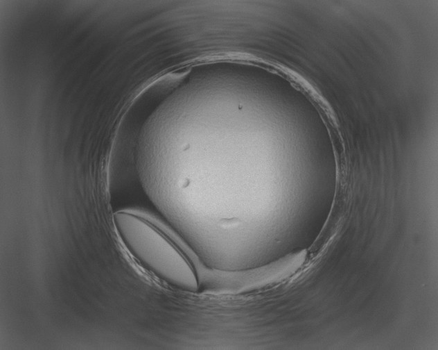 X0000082930905200702222216