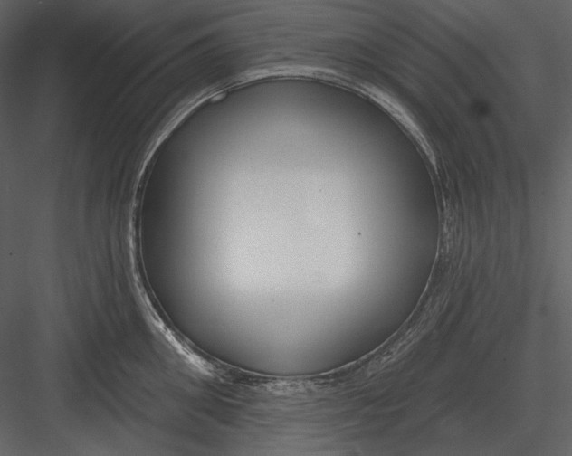 X0000082930906200702222216