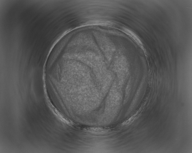 X0000082930907200702222216