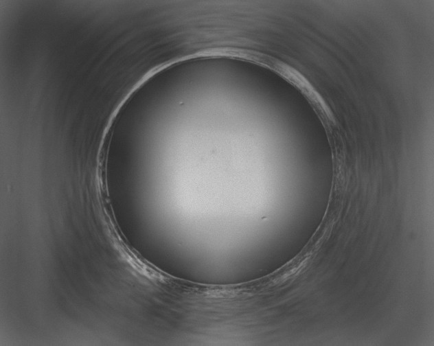 X0000082930908200702222216