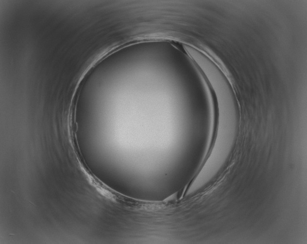 X0000082930909200702222216