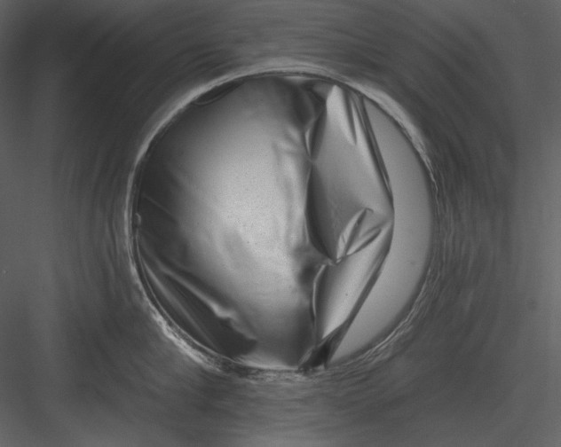 X0000082930910200702222216