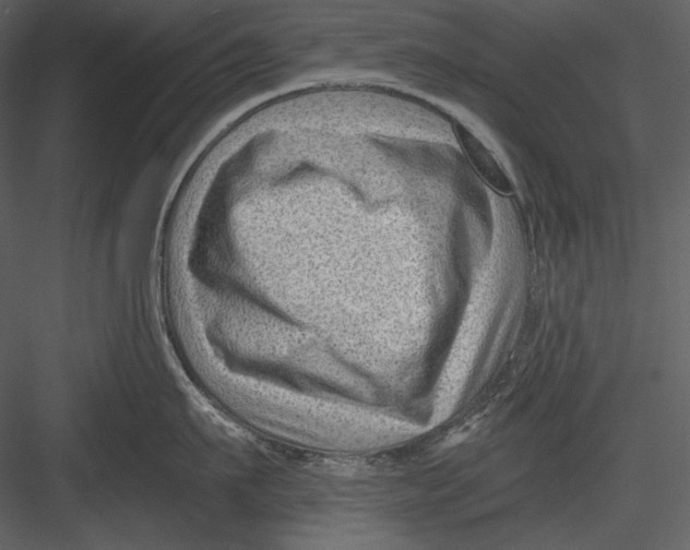 X0000082930911200702222216