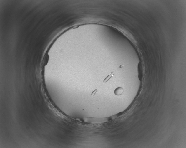 X0000082930912200702222216