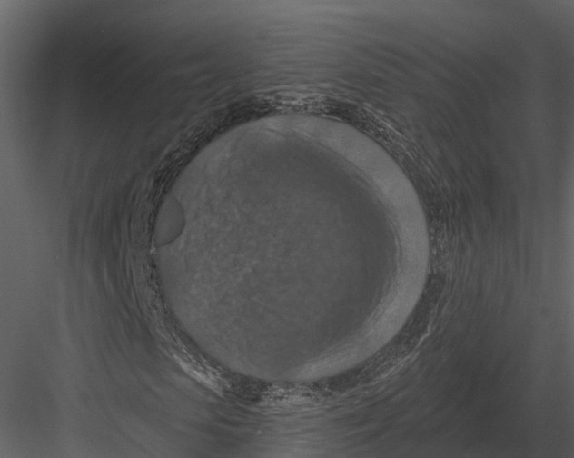 X0000082930913200702222215