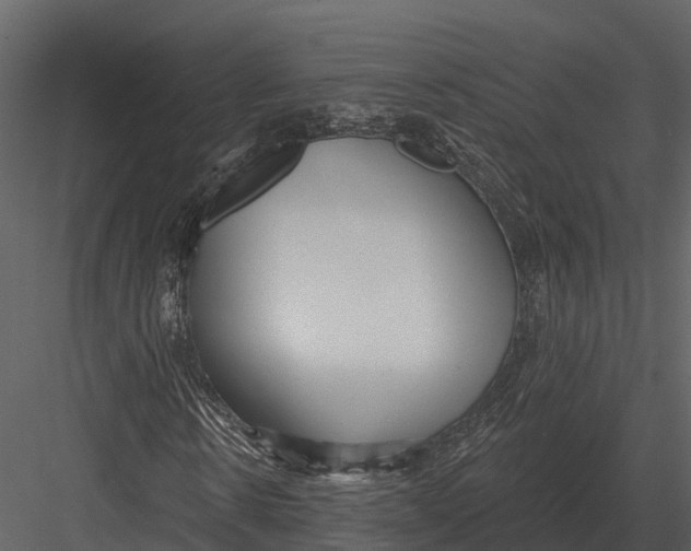 X0000082930914200702222215