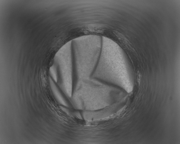 X0000082930915200702222215