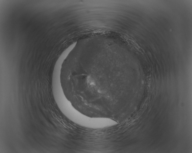 X0000082930916200702222215