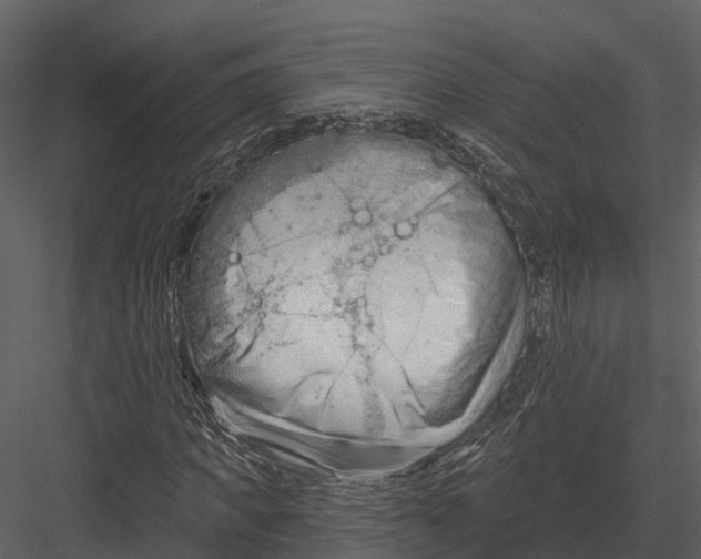 X0000082930917200702222215