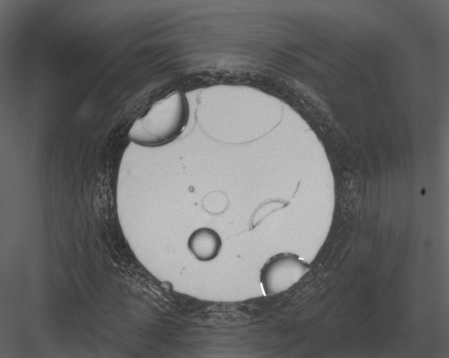 X0000082930918200702222215