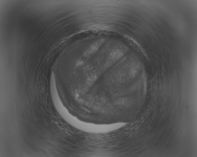 X0000082930919200702222215