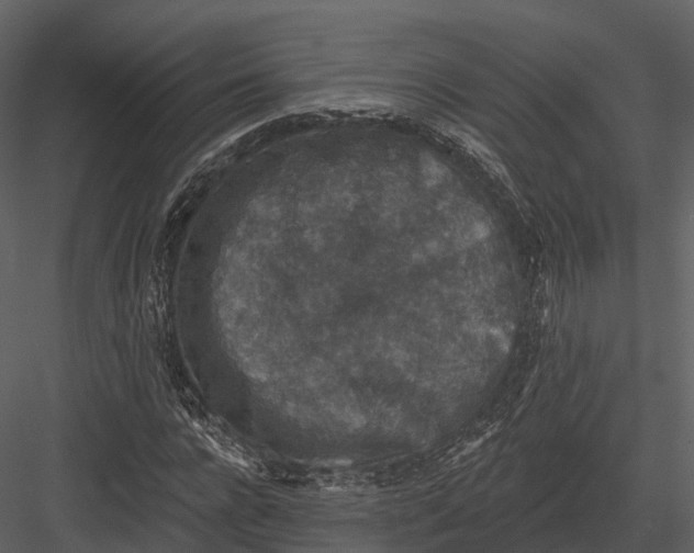 X0000082930920200702222215