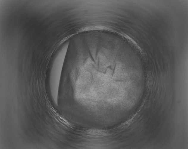 X0000082930921200702222215