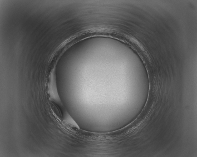 X0000082930922200702222215