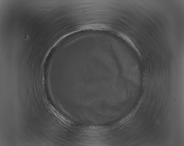 X0000082930923200702222215