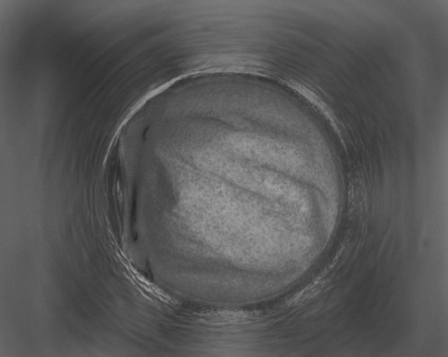 X0000082930925200702222215