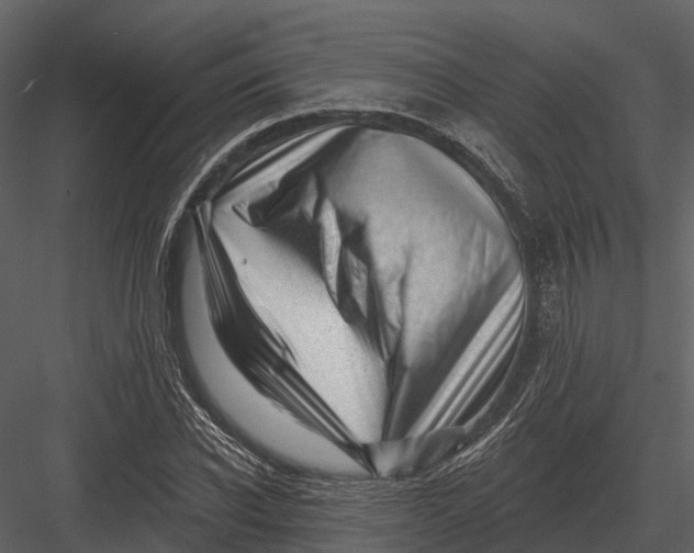 X0000082930926200702222215