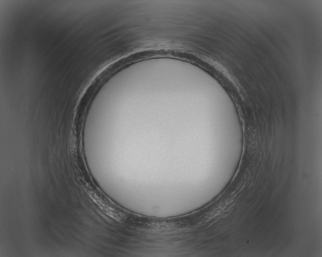 X0000082930927200702222215