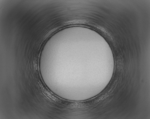 X0000082930929200702222215