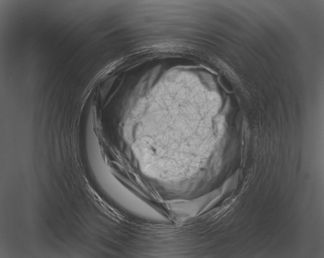 X0000082930930200702222215