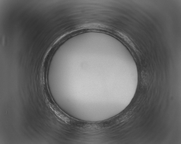 X0000082930931200702222215