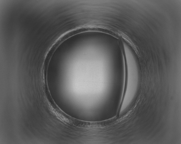 X0000082930934200702222216