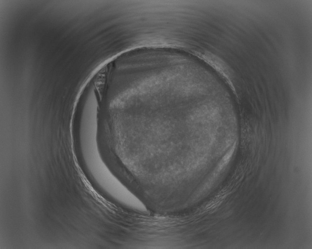 X0000082930935200702222216