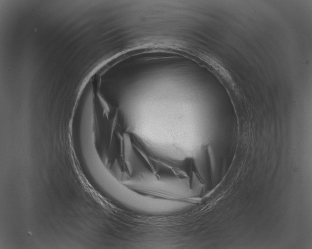 X0000082930936200702222216