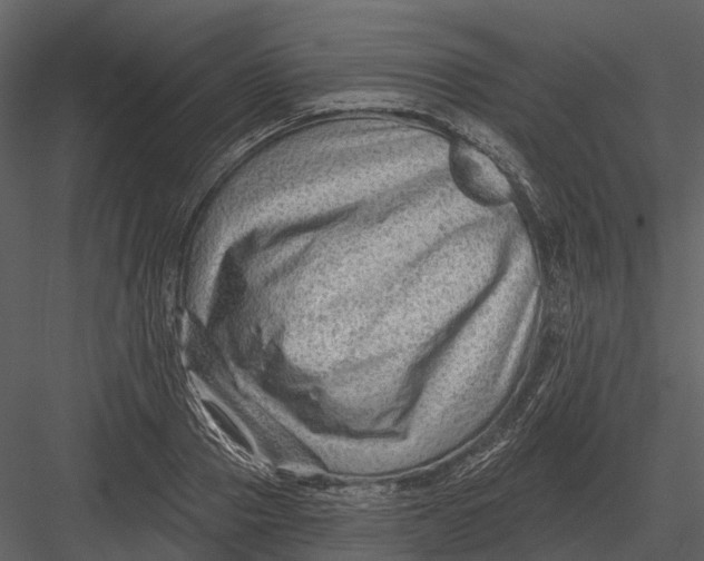 X0000082930937200702222216