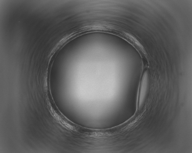 X0000082930938200702222216