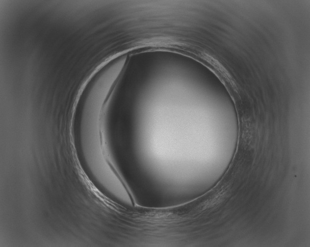 X0000082930939200702222216