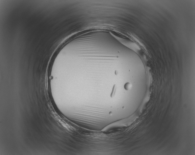 X0000082930940200702222216