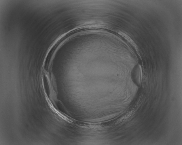 X0000082930941200702222216