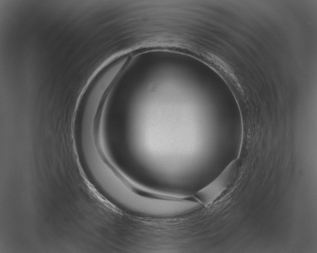 X0000082930942200702222216