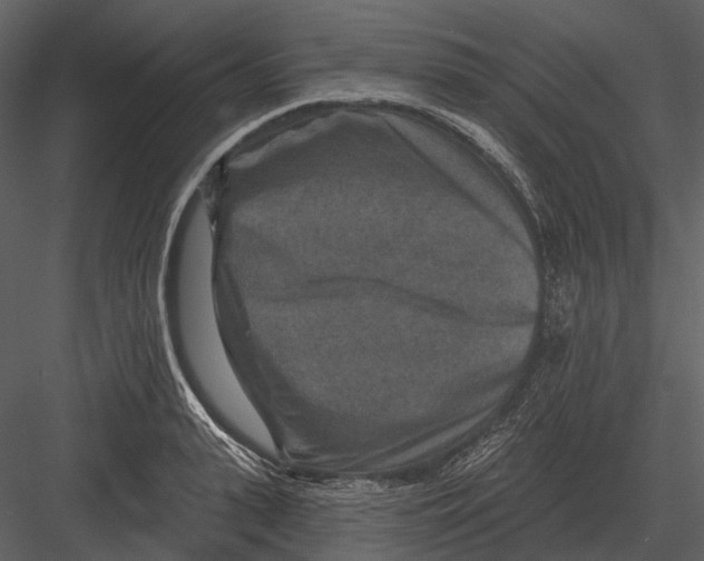 X0000082930943200702222216