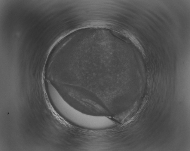 X0000082930944200702222216