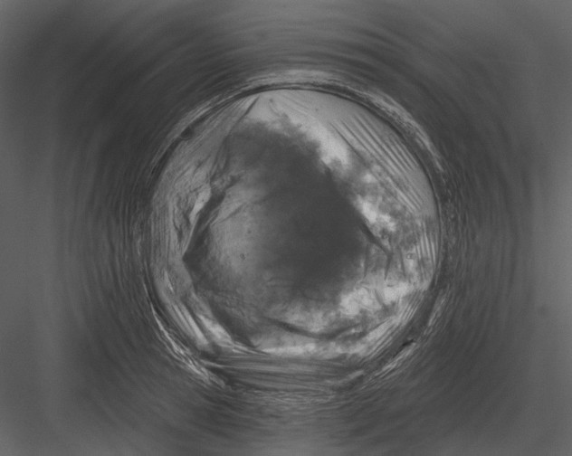 X0000082930945200702222216