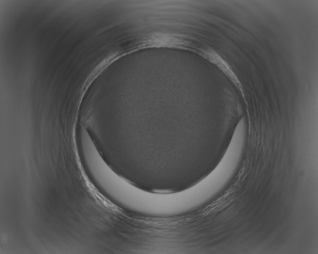 X0000082930946200702222216