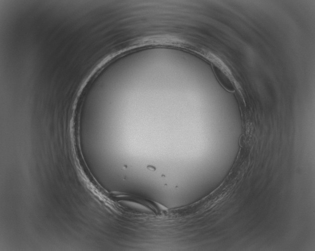 X0000082930947200702222216