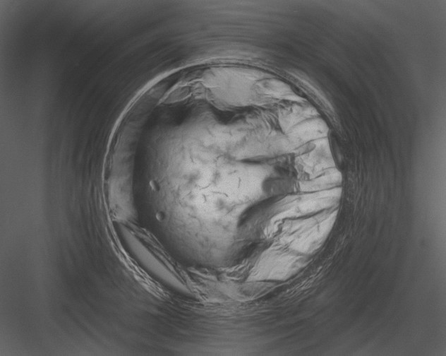 X0000082930948200702222216