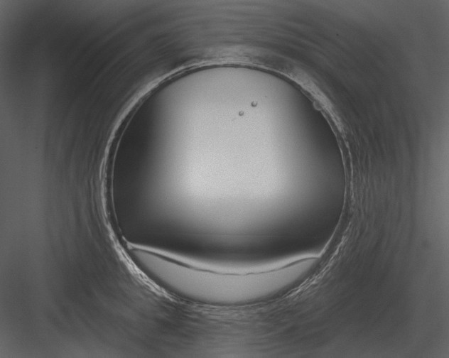 X0000082930949200702222216