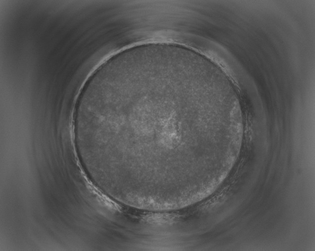 X0000082930950200702222216