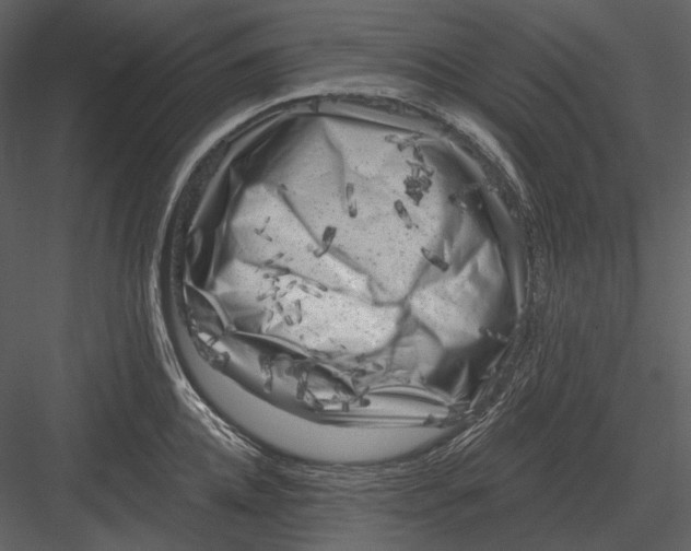 X0000082930952200702222216