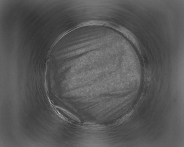 X0000082930953200702222216