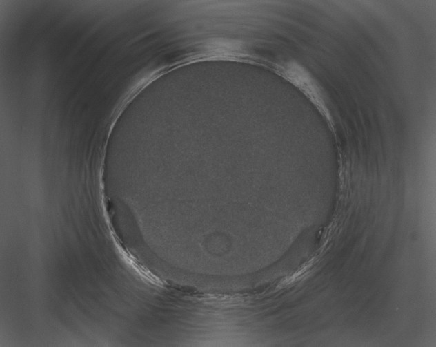 X0000082930954200702222216