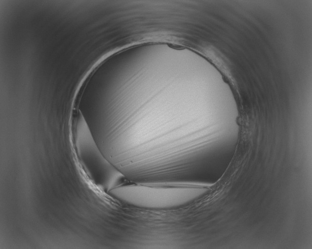 X0000082930955200702222216