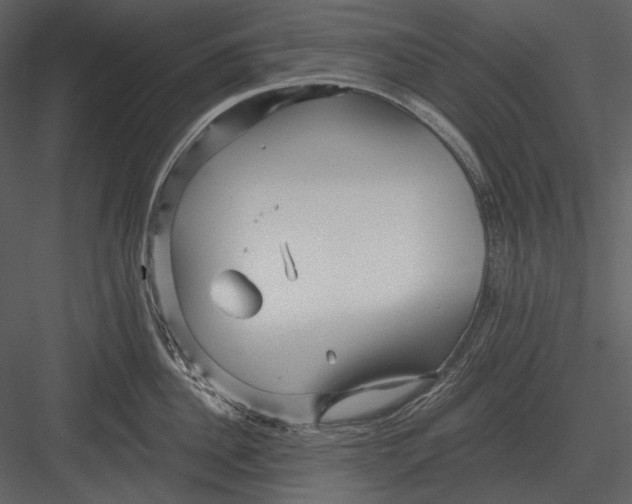 X0000082930956200702222216