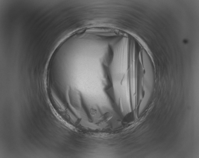 X0000082930957200702222216