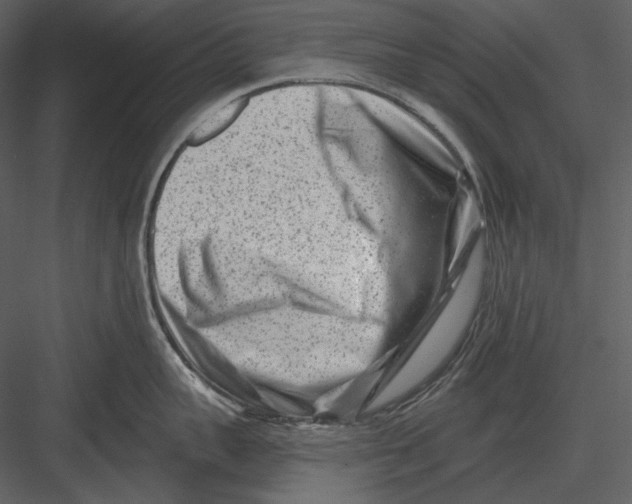 X0000082930959200702222216