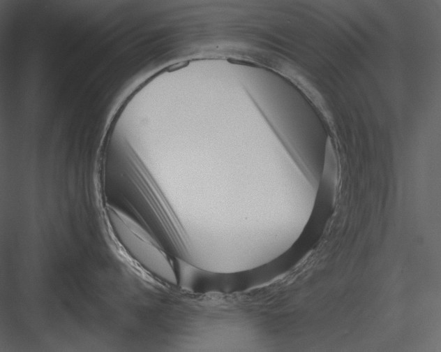 X0000082930960200702222216